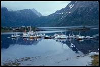 Boats at anchor.