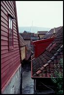 The roofs of Bryggen.