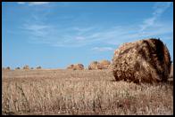 Rolls of hay.