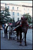 Krakow, horse and carriage.