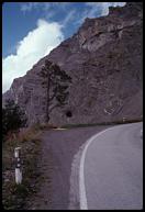 Tunnel and lone pine, Col du Sanetsch.